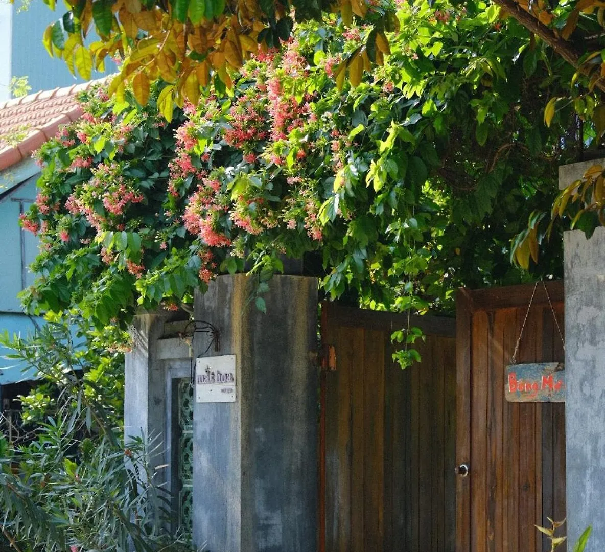 Bong Mo - Hoi An Wooden House Apartment Vietnam
